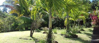 Rez de jardin villa-rivière salée