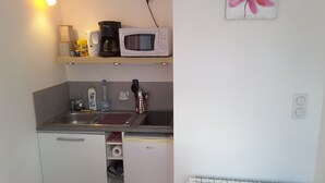 A compact kitchen with a sink, a microwave, and a small refrigerator. There are cabinets below the countertop and a radiator below the microwave. - CALM STUDIO IN A GREEN SETTING (Montauban)