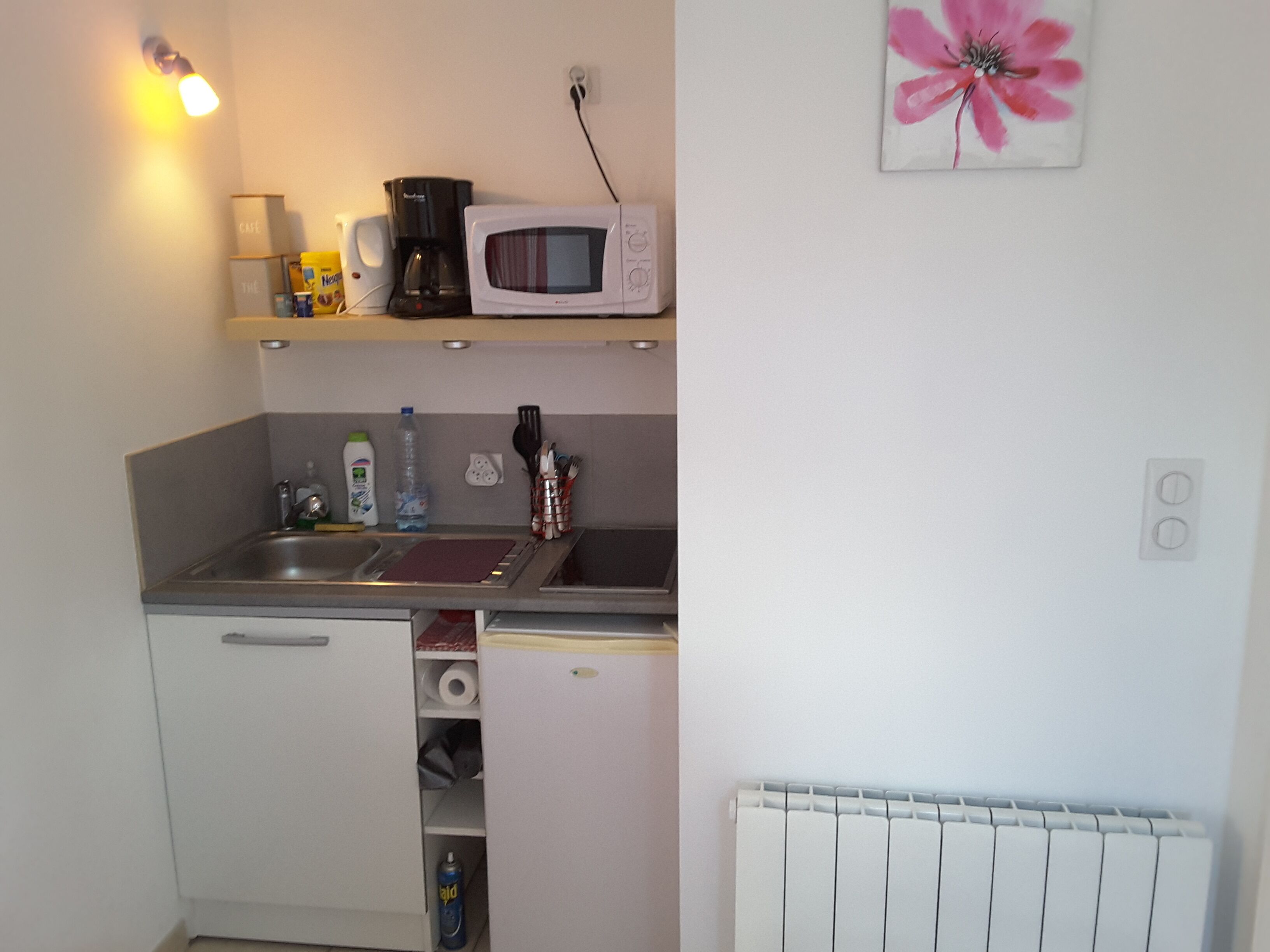 A compact kitchen with a sink, a microwave, and a small refrigerator. There are cabinets below the countertop and a radiator below the microwave. - CALM STUDIO IN A GREEN SETTING (Montauban)