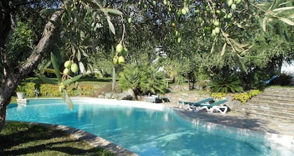 F3 apartment furnished ground floor villa
