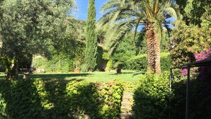 Ein üppiger Garten mit verschiedenen Bäumen und Sträuchern, einem Kiesweg und einer Pergola.