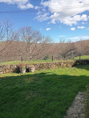 Terrain de l’hébergement 