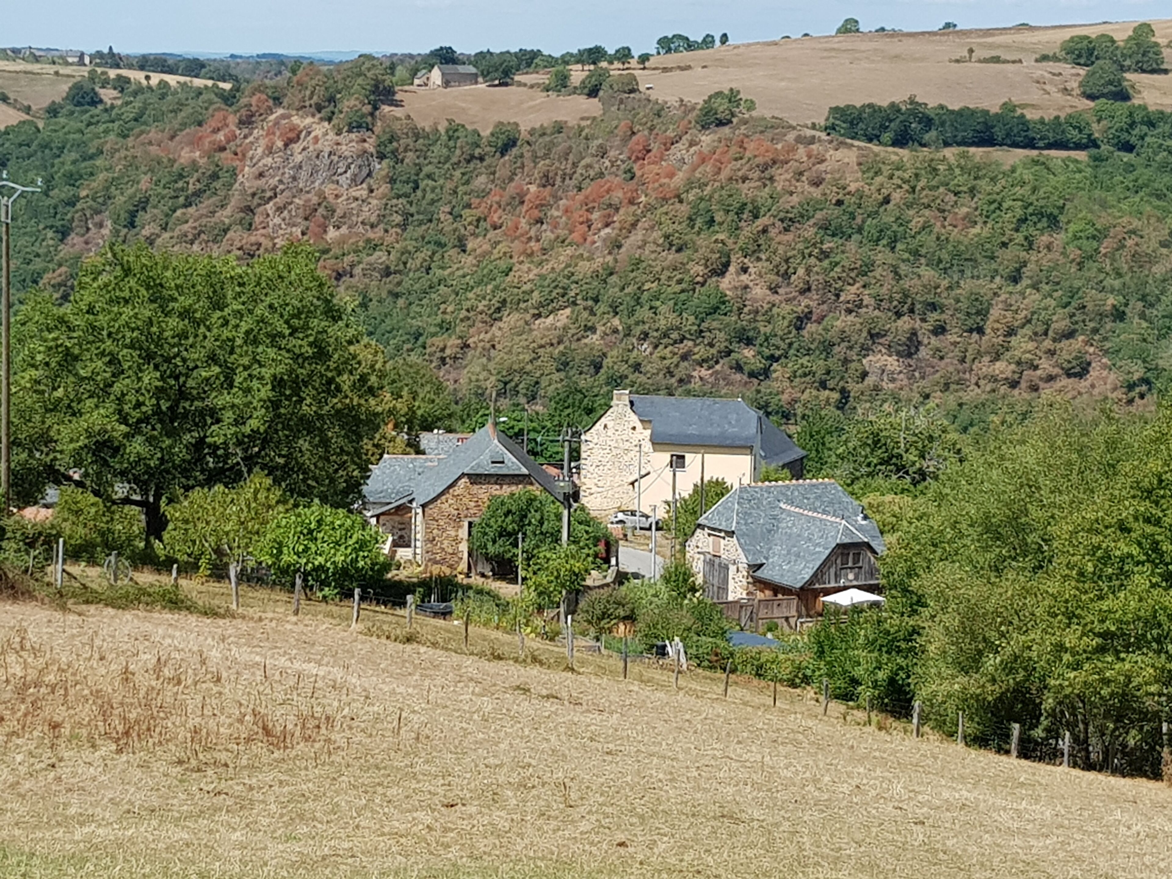 A rural landscape with stone houses, vineyards, and a hilly backdrop.