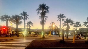 Une vue d’une rue au crépuscule, avec des palmiers, un passage piéton et des espaces de restauration en plein air.