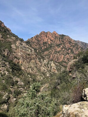 Unclassified image, 5 of 19, button - pretty stone house in the heart of the village (Évisa)
