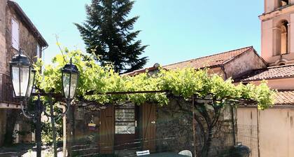 pretty stone house in the heart of the village