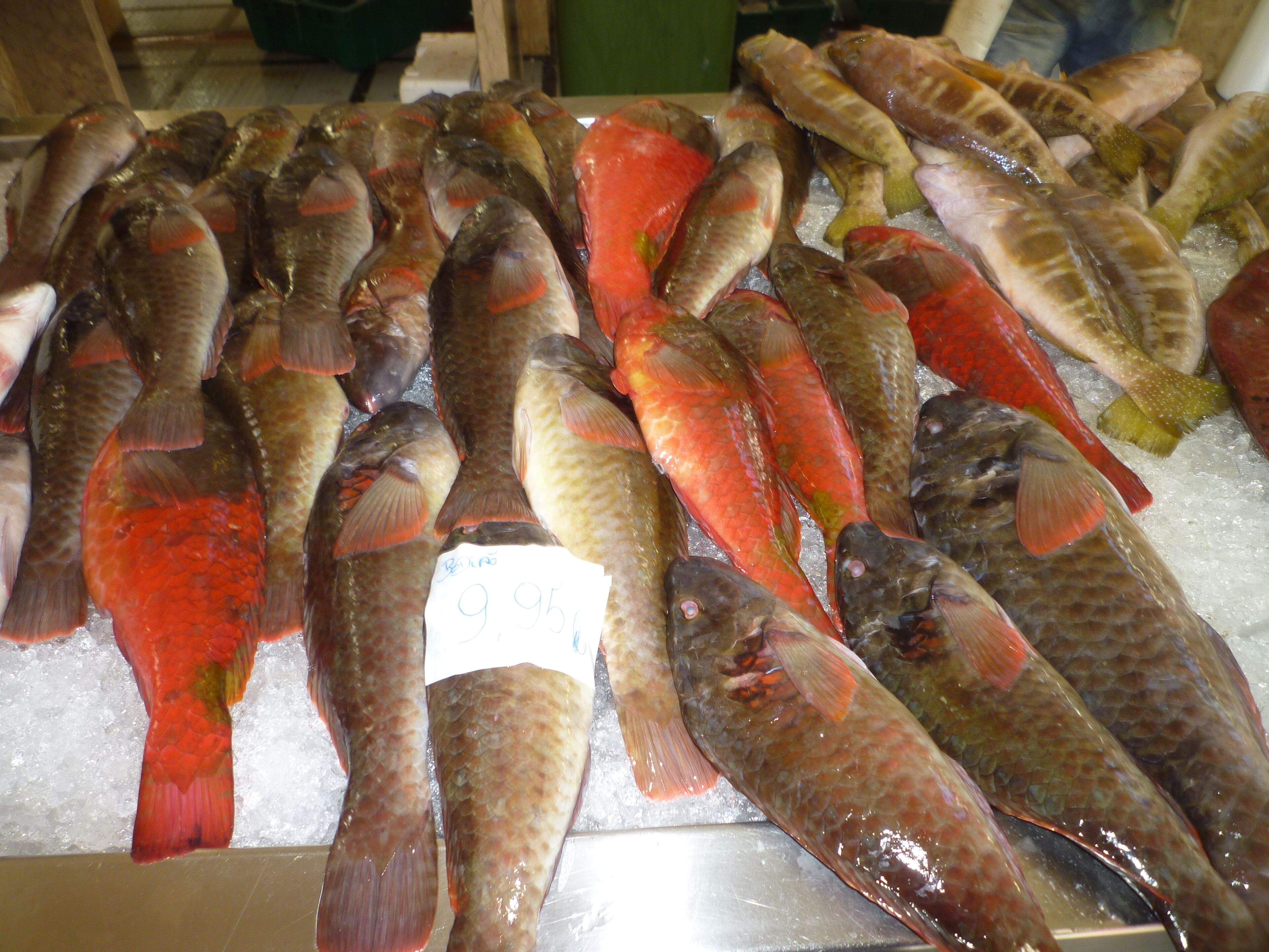 Verschiedene Fische, die auf Eis in einer Markthalle präsentiert werden.