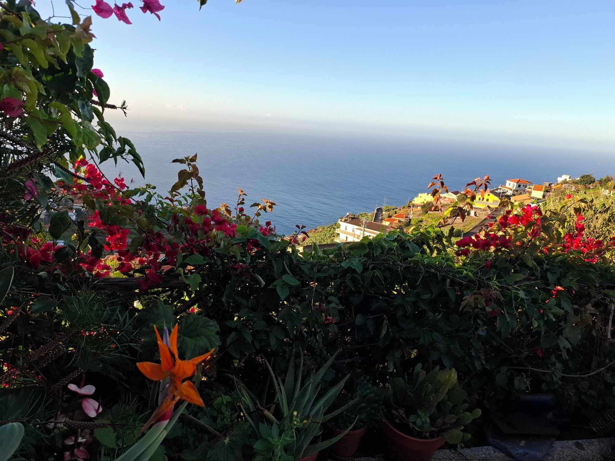 Vista costera con un jardín en primer plano y casas al fondo.