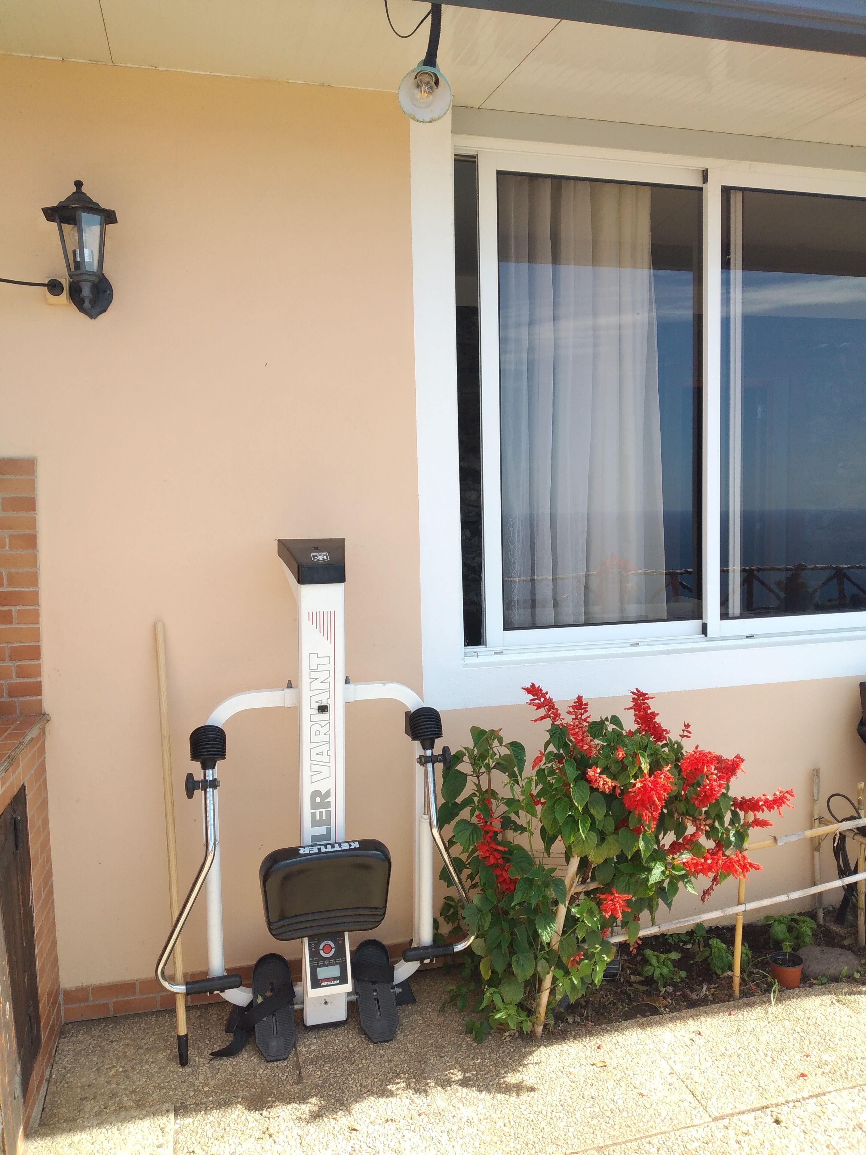 A home gym setup with a stationary bike and a weight bench, a window with curtains, and a potted plant with red flowers.