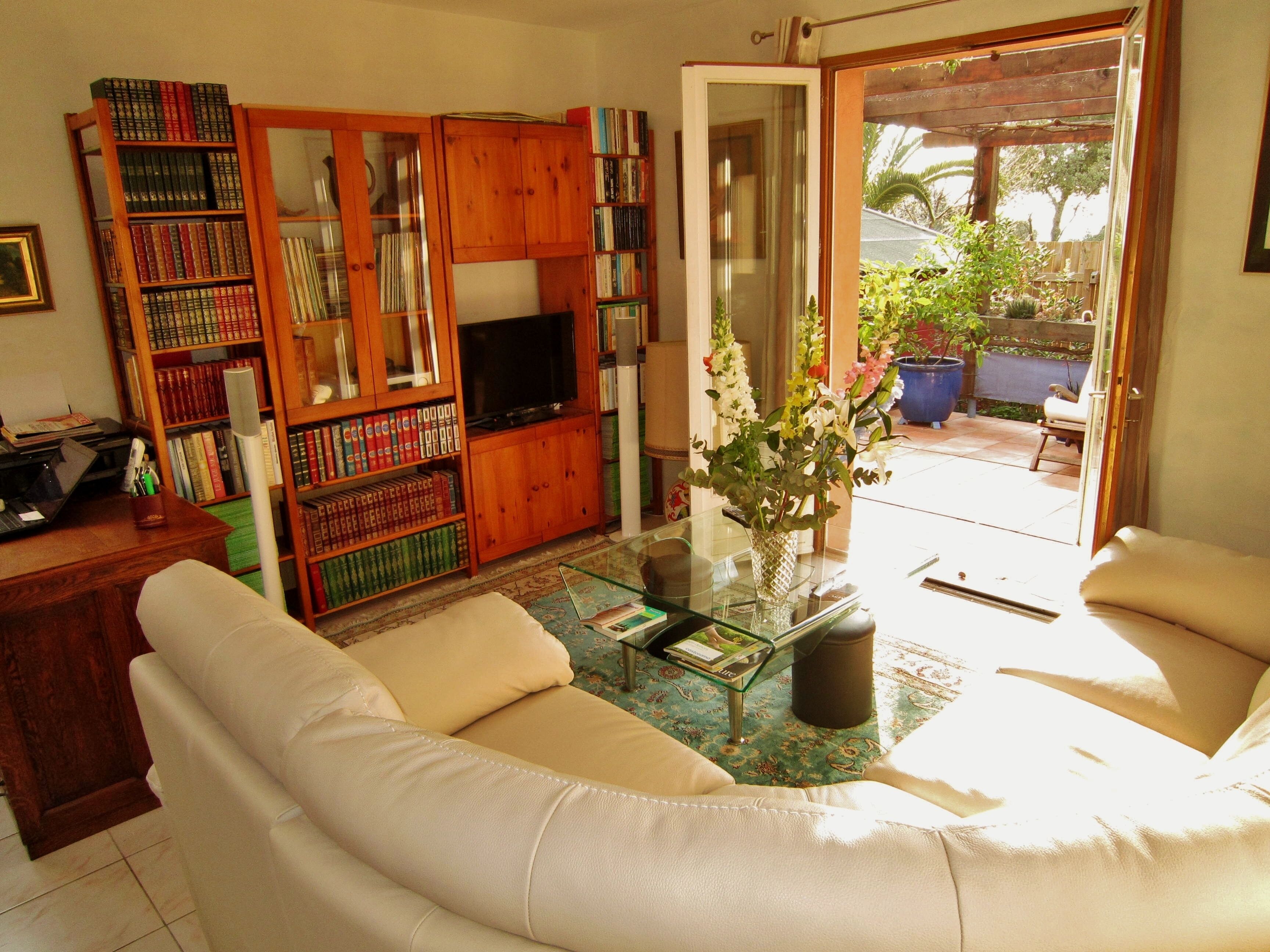 Televisio, DVD-soitin, kirjoja, musiikkikirjasto