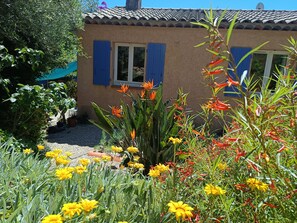 A house with blue shutters, a garden with yellow flowers, and a gravel path.