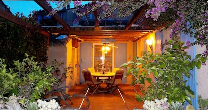 VILLA CLIMATISEE, DE PLAIN-PIED, VUE MER ET CORSE GRAND JARDIN, CHIENS ACCEPTES