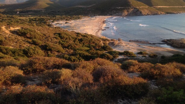 Un paisaje costero con playa, colinas y cielo despejado.