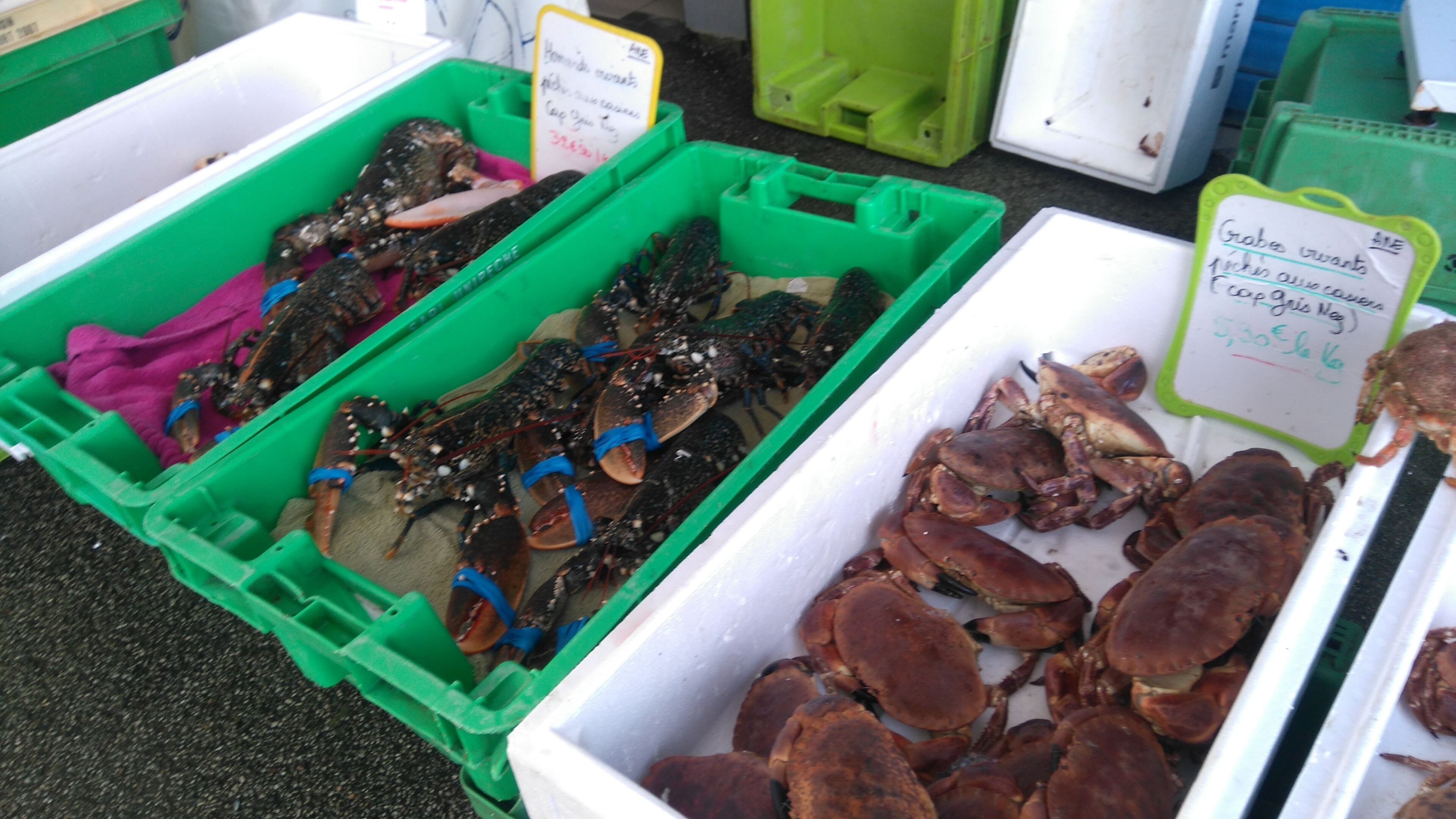 Deux bacs en plastique verts, remplis de fruits de mer, probablement des homards, avec des étiquettes indiquant les prix.