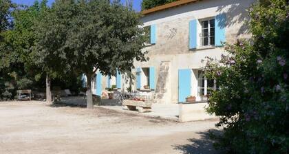 WHITE Herde Zucht von Stieren und Camargue Pferd