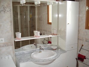 Shower, hair dryer, toilet paper