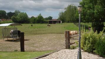 A fenced outdoor area with a metal structure and a lamp post.