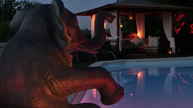 Eine Elefantenskulptur an einem Pool, im Hintergrund ein Gazebo.