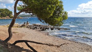 Ein Strand mit einem markanten Baum, felsigem Ufer und ruhiger See.