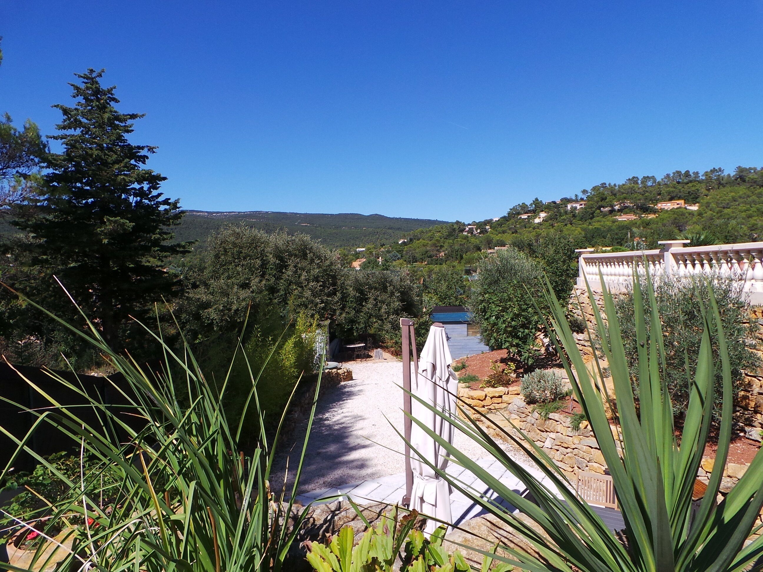 A view of a coastal area with a clear sky, a pathway leading to a building, and surrounding greenery.