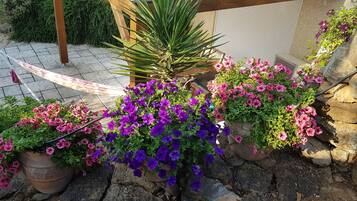 DĂ©tail de lâextĂ©rieur