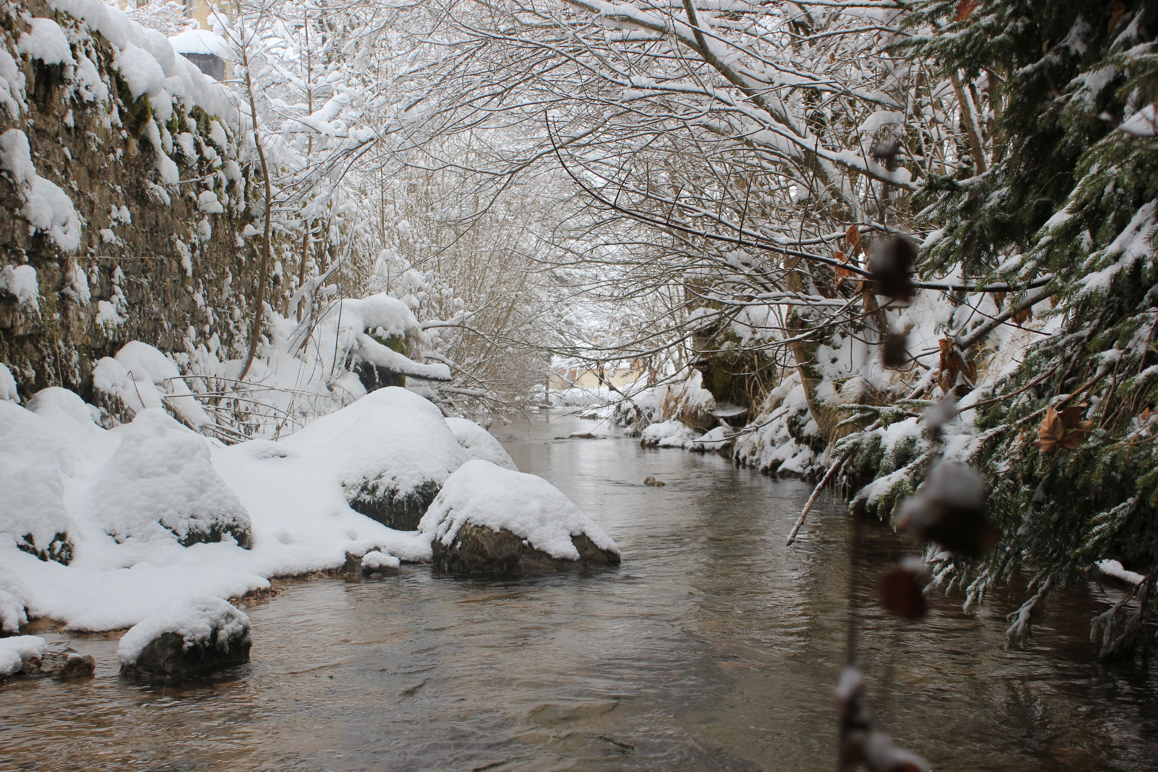 Un torrent cobert de neu amb roques i arbres.