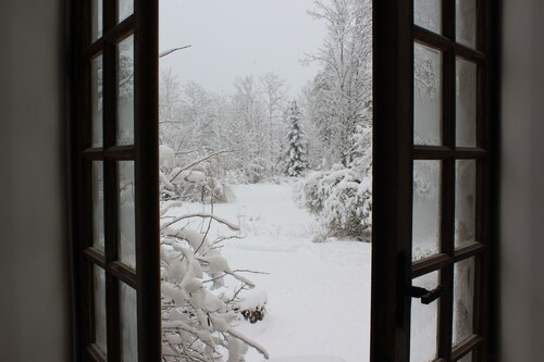 Clean Design Apartment, Naturgeist