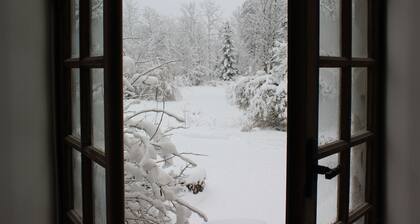 Clean Design Apartment, Naturgeist