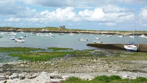 Un port où se trouvent de nombreux bateaux et une colline verdoyante, avec un bâtiment visible au loin.