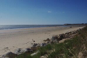 Plage à proximité
