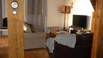 TV, fireplace, DVD player, books