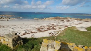 Un paisaje costero con una playa arenosa, rocas dispersas y parches de algas marinas.
