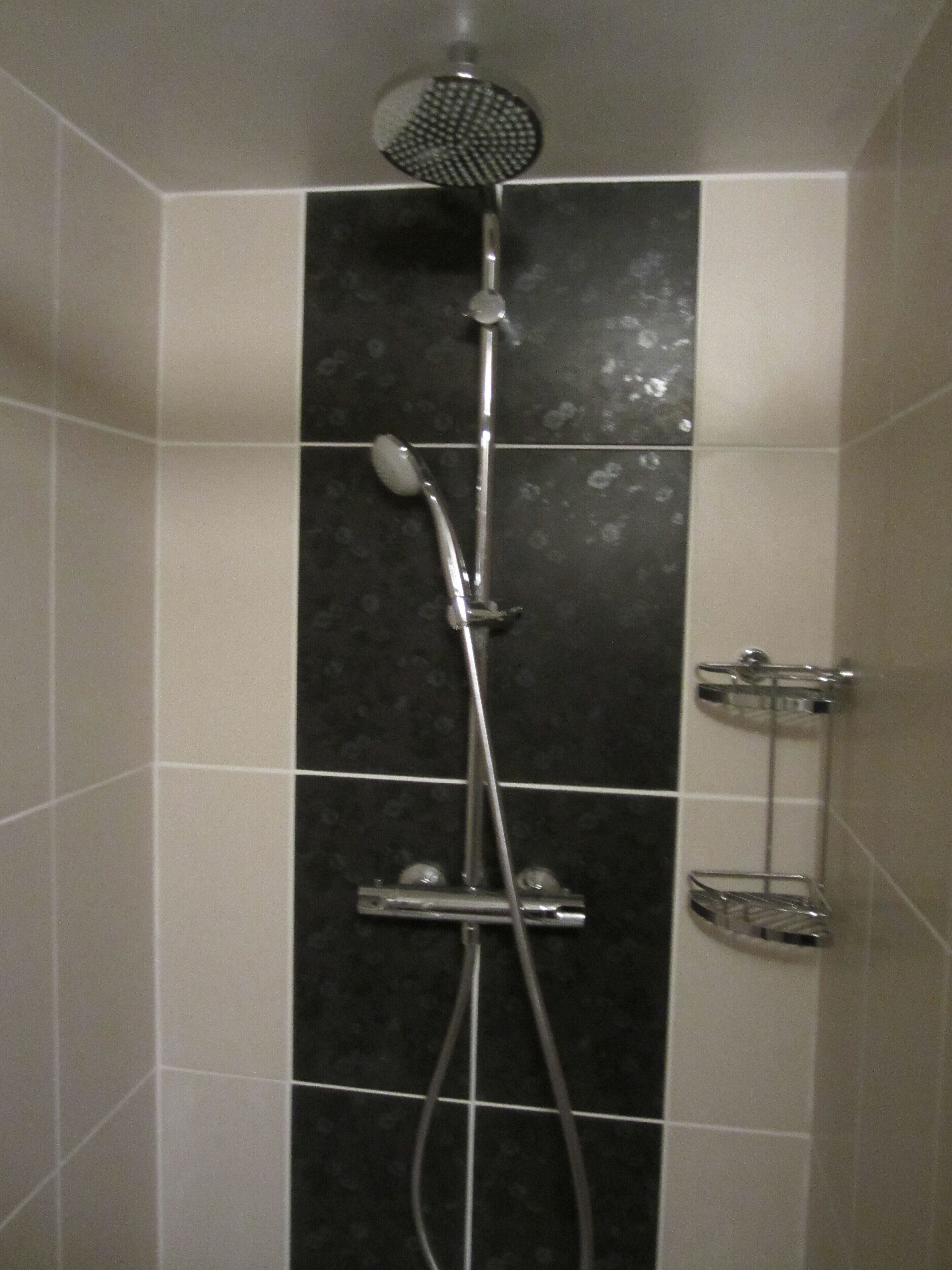 Shower, hair dryer, towels, toilet paper