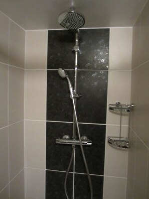 Regadera, secadora de cabello, toallas, papel de baño 