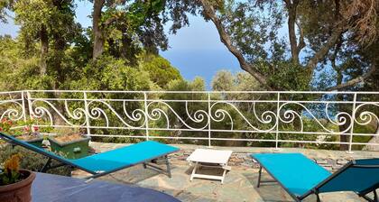 Vues sur mer,2 belles terrasses ,charmant duplex dans villa ,jardin paysagé