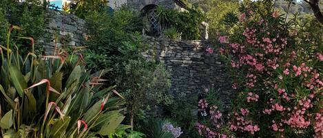 Ein Garten mit einer Steinmauer, verschiedenen Pflanzen und einem großen Sonnenschirm.