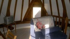 Un dormitorio en ático pequeño con techo de madera, una cama individual con almohada estampada y un televisor sobre un mueble de madera.