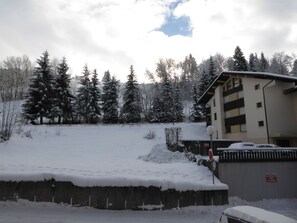 Property grounds - In La Clusaz, large, quiet, south-facing studio just 3 minutes' walk from the ski lifts. (La Clusaz)