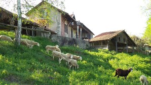 A rustic building with a sloped roof and a wooden porch.