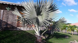 A large agave plant in a well-maintained garden with a house in the background. - Colibri bungalow and pool (Vauclin)