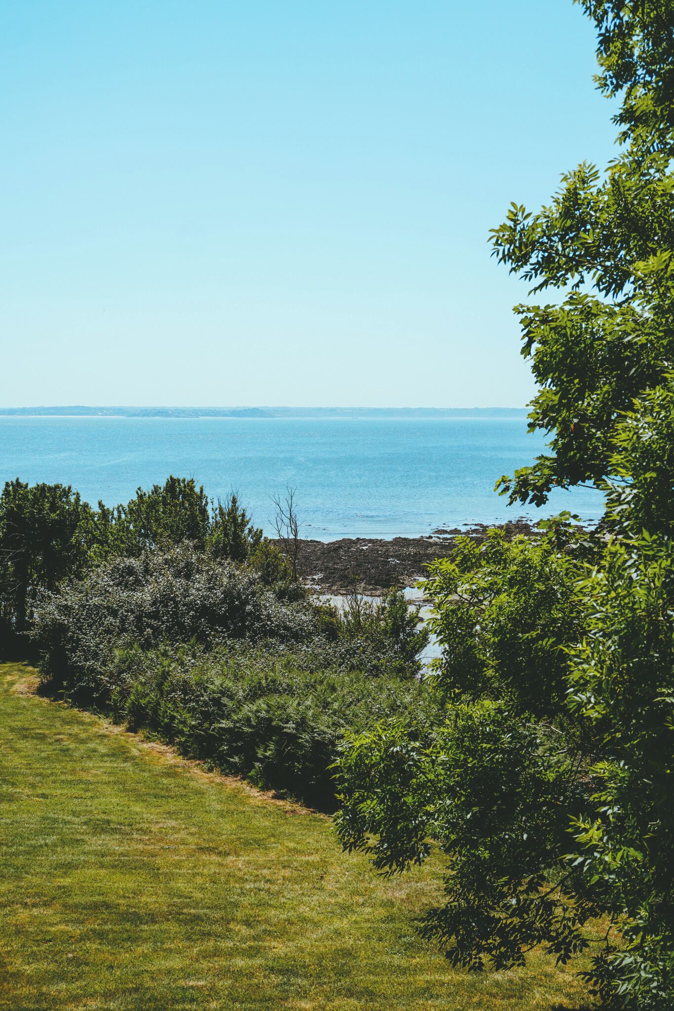 A coastal landscape with a grassy foreground, trees, and a view of the sea.