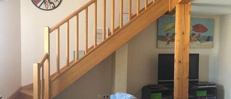 TV, DVD player, books, music library