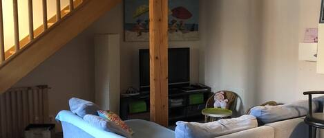 Televisie, een dvd-speler, boeken en een muziekbibliotheek