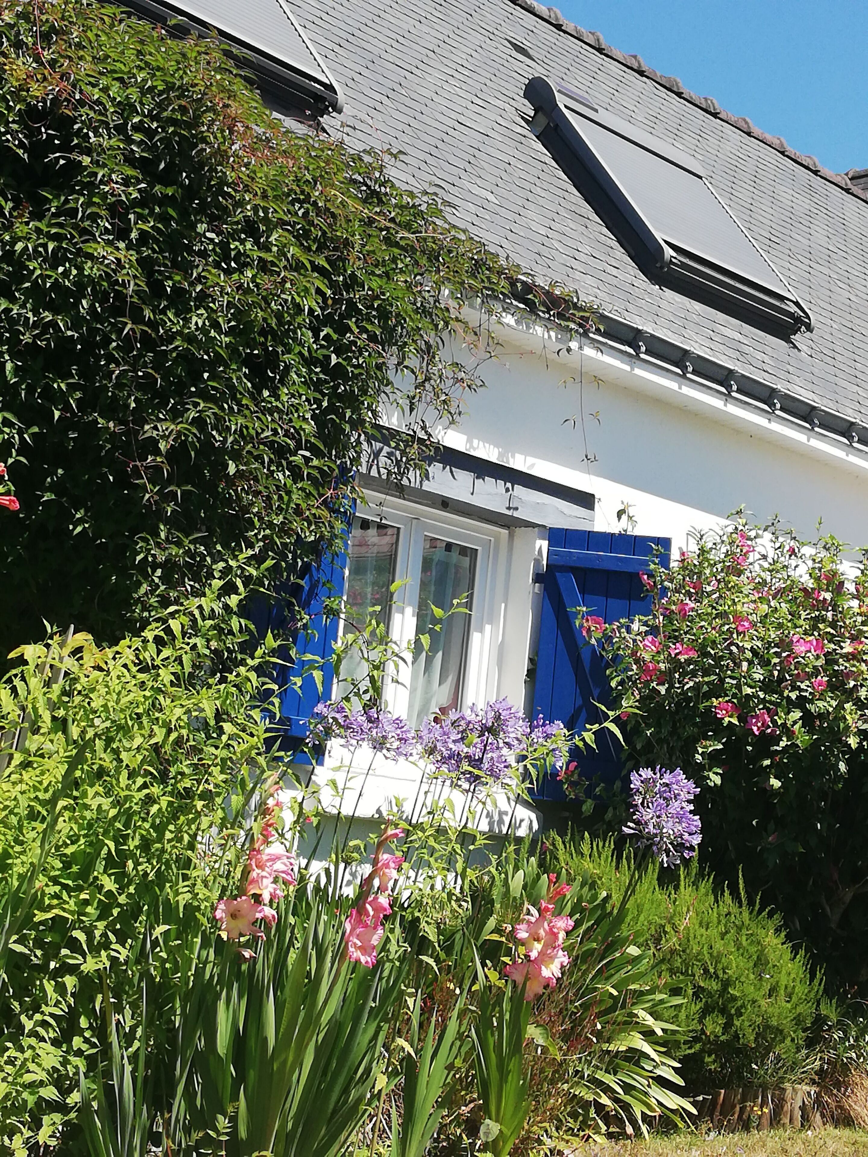 Een huis met een witte gevel, blauwe luiken en een tuin met verschillende bloemen en planten.
