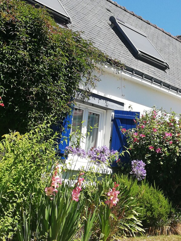 A house with a white exterior, blue shutters, and a garden with various flowers and plants.