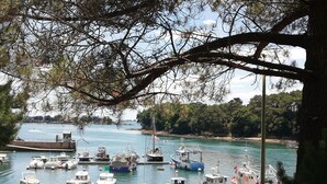 A marina with various boats docked, surrounded by trees and a clear sky. - Séné seaside lodging (classified 2 stars) (Séné)