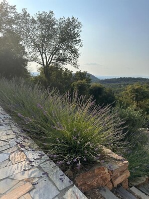 Property grounds - Top of villa air-conditioned private pool panoramic view (La Garde-Freinet)