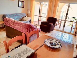 TV, DVD player, books, music library