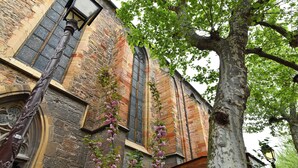 A historic building with a large arched window, a wooden door, and a tree with pink flowers in front. - Bredala ***, 5-person apartment in the historic center of Colmar - 2 bedrooms (Colmar)