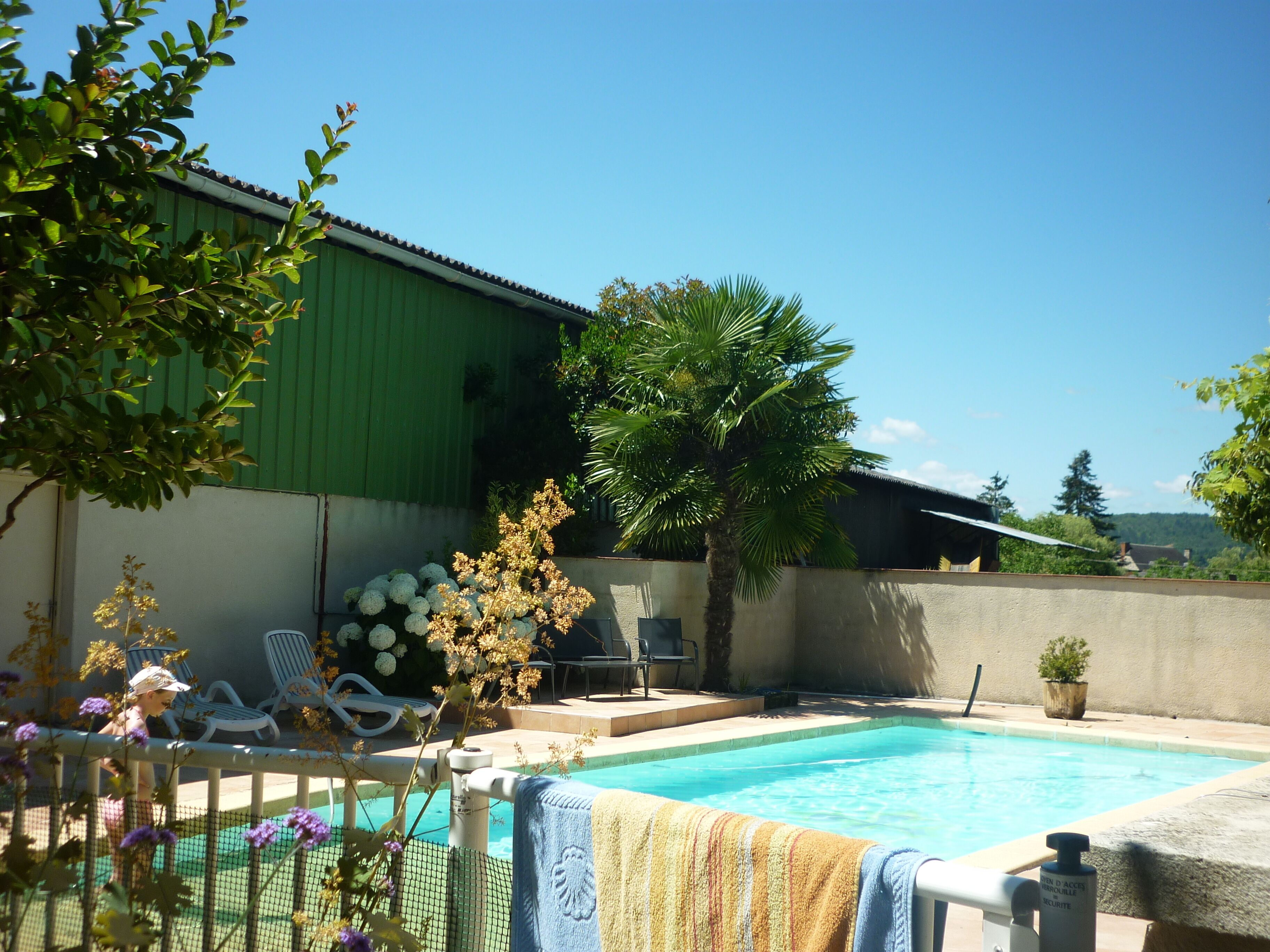 A swimming pool with a green building in the background, surrounded by greenery and a clear sky.